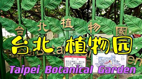 九頭芙蓉|台北植物園 山芙蓉－Jessie の旅遊記事｜痞客